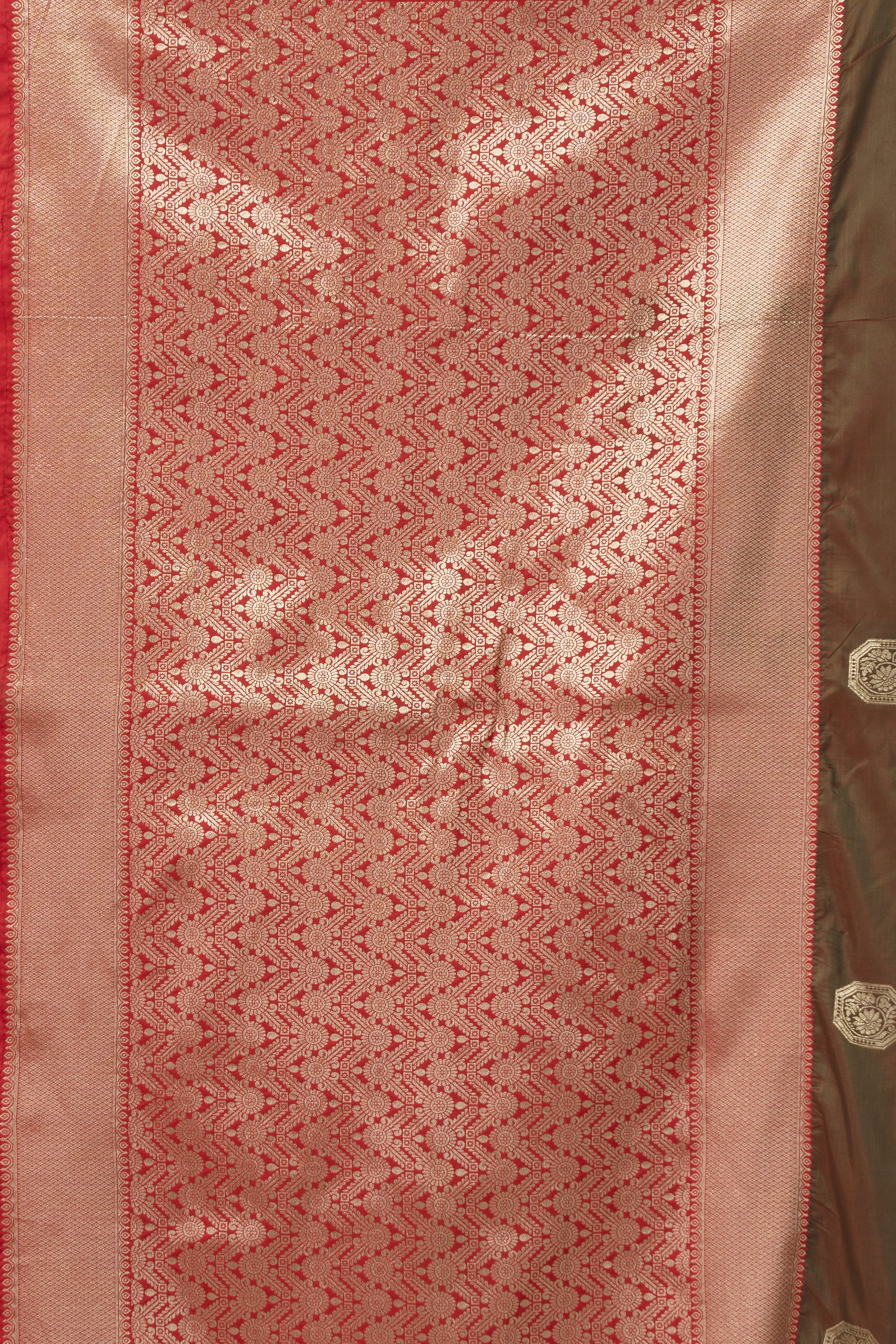 Prerna Saree - Coffee Brown - Front Drape