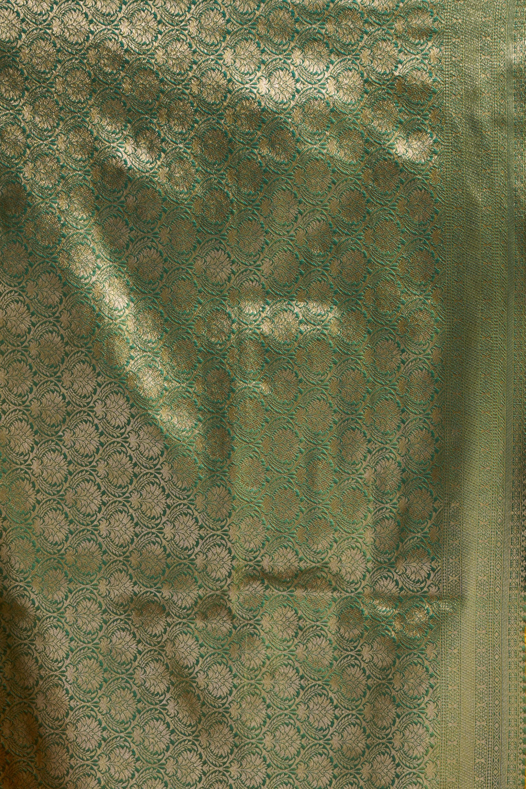 Raagini Saree - Mustard Yellow - Front Drape