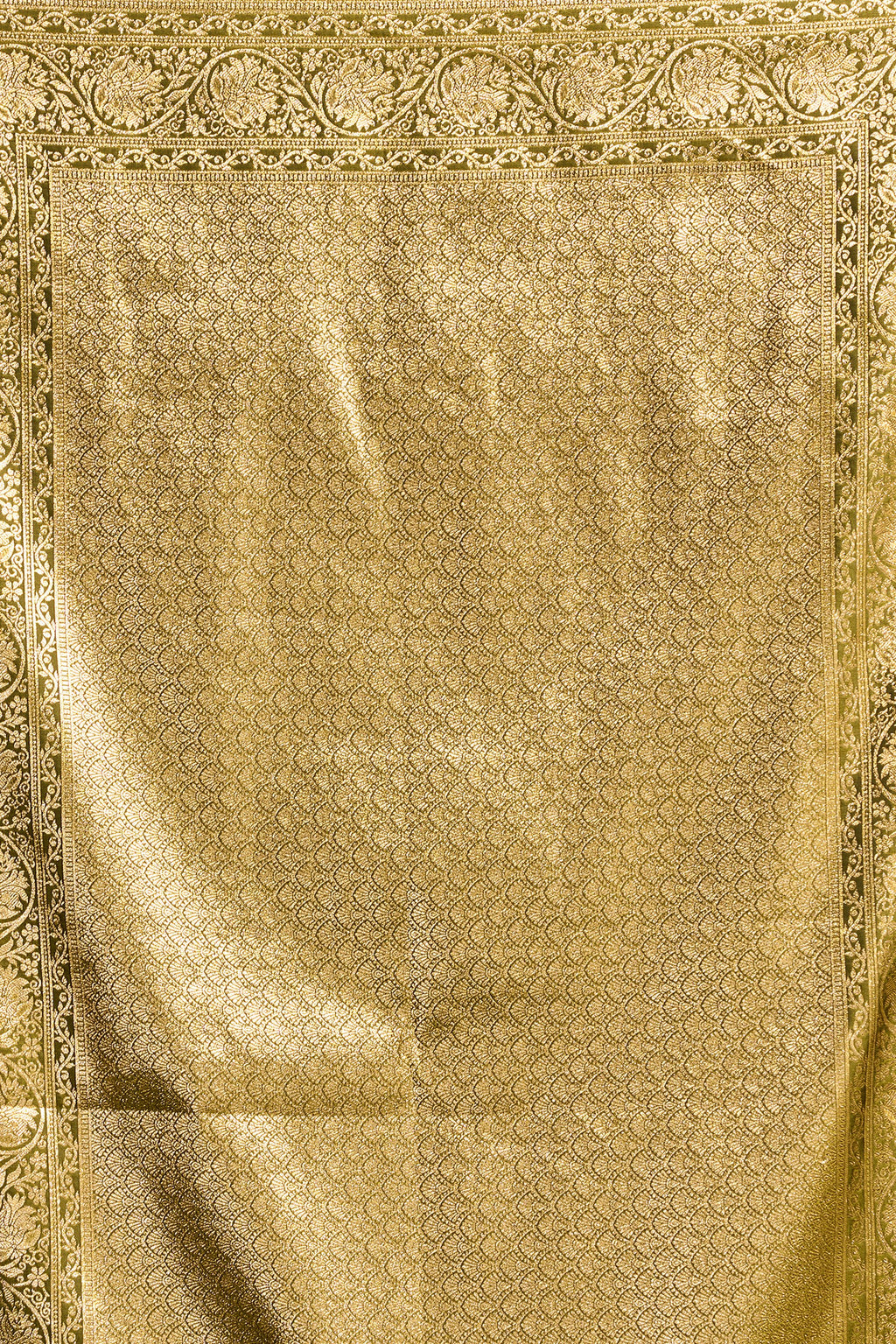 Virasat Saree - Antique Olive - Front Drape